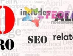 SEO PRO 4.21 вроде бы свежий