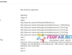Микроданные Schema.org 2.4