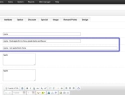 SEO Titles