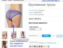 Изображения опций PRO 1.3