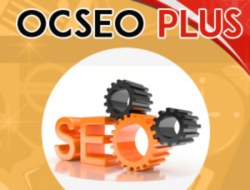 OcSEO Plus — Решение в 1 клик