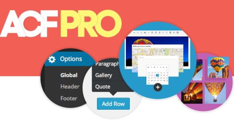 Advanced Custom Fields Pro v5.3.1