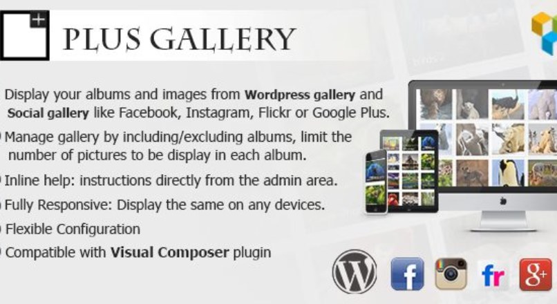 Plus Gallery v3.0.0 – A Responsive photo WP gallery and Social gallery