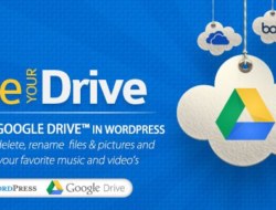 Use-your-Drive v1.5.3 – Google Drive plugin for WordPress