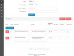 Redirect Manager