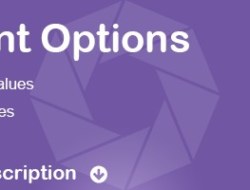 Conditional Options — Options Dependent on Another Option