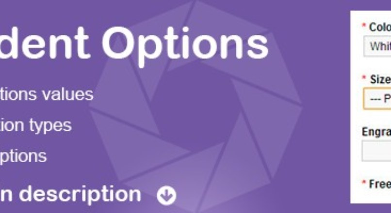 Conditional Options — Options Dependent on Another Option