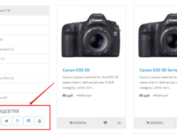Мы в соцсетях для Opencart 2.x