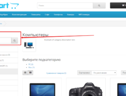 Модуль Поиск в позиции для Opencart 2.x
