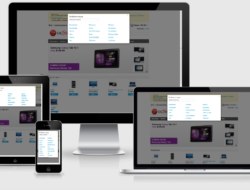 Определение города по IP (Geo IP) v5.3 nulled
