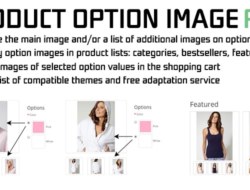 Product Option Image PRO 2,3