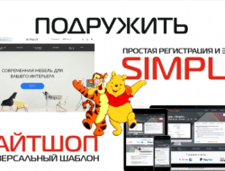 Подружить Лайтшоп И Simple