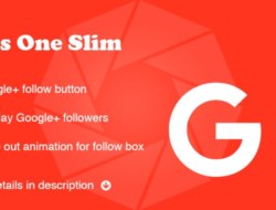 Plus One Google+ Slim