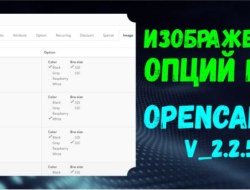 Изображения опций PRO для OpenCart2 2.2.5