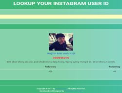 Lookup Instagram User ID PHP Script