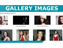 Gallery Images 1.2.3B Nulled Opencart 2.3-1.5