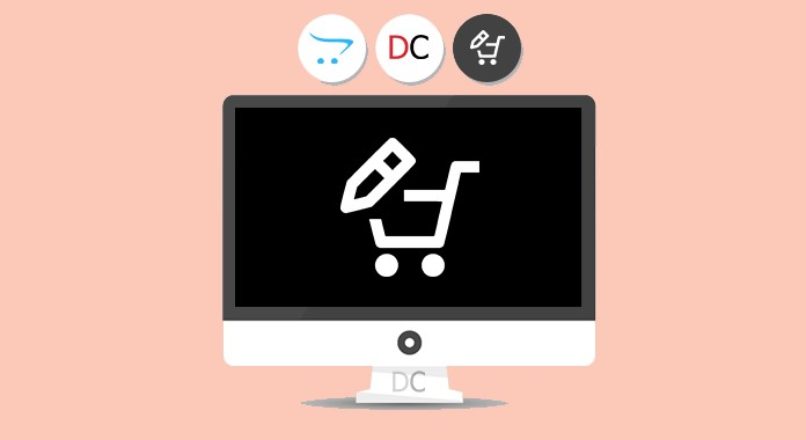 Edit product options in cart only VIP
