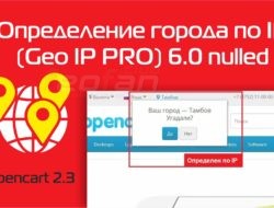Определение города по IP (Geo IP PRO) 6.0 nulled