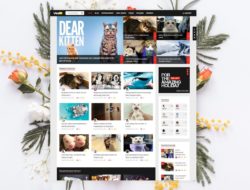 ViralVideo — User Membership News / Magazine Theme