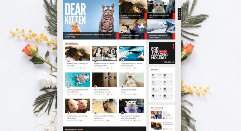 ViralVideo — User Membership News / Magazine Theme