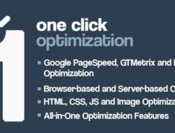 One Click — Скорость и оптимизация производительности WordPress