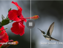 Smush Pro null 3.3.2 Оптимизируйте неограниченное количество изображений