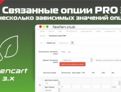 Связанные опции PRO 3 v.3.1.0