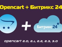Opencart + Битрикс 24