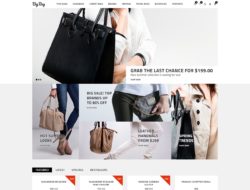 Big Bag — Handbag Store OpenCart Template