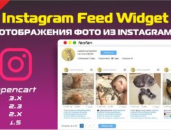 Instagram Feed Widget v1.1.3 null