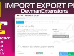 Import / Export Pro v.9.2.5 DevmanExtensions.com KEY