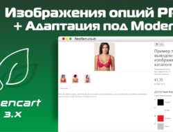 Изображения опций PRO 3.1.4b Nulled