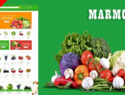 Marmos Organic & Grocery Ecommrce Website Template