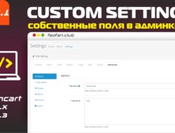 Собственные поля в админке CustomSetting 1.0.1