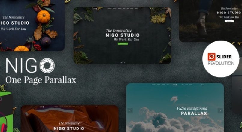 Nigo Creative Parallax One Page HTML Template