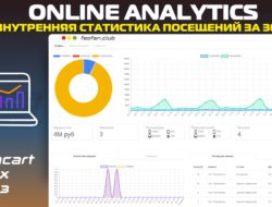 Online Analytics — Внутренняя статистика посещений за 30 дней v4