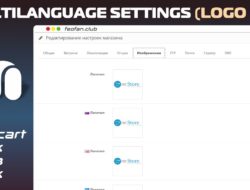 MultiLanguage Settings (Logo etc)