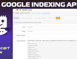 Google Indexing Api v1.0.1