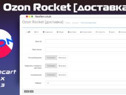 Ozon Rocket [доставка] 1.5.7 KEY