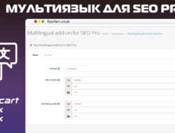 Мультиязык для SEO Pro — Multilingual add-on for SEO Pro