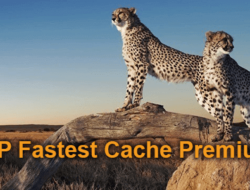 WP Fastest Cache Premium 1.7.0 NULLED