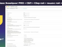 Т-Банк Эквайринг PRO + СБП + Сбер пэй + яндекс пэй + мир пэй v4.1 VIP