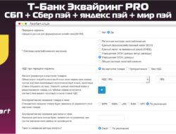 Т-Банк Эквайринг PRO + СБП + Сбер пэй + яндекс пэй + мир пэй v4.2 VIP