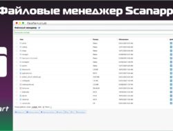 Файловые менеджер Scanapper v1.0