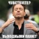 mail@maytech.ru